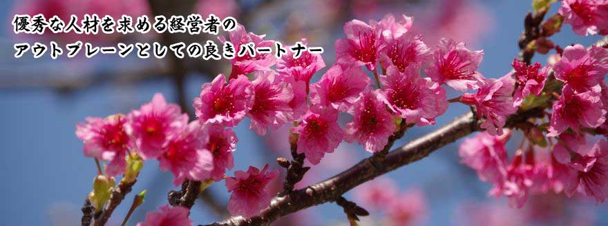 優秀な人材を求める経営者のアウトブレーンとしての良きパートナー